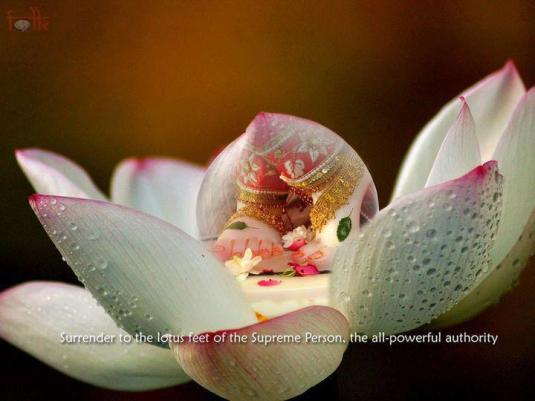 Krishna's Lotus Feet