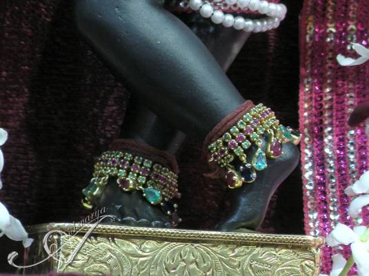 Radha Ramana Lotus feet