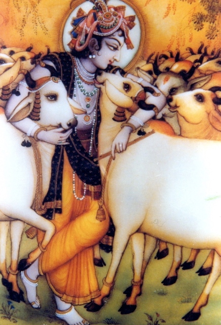 Krishna and Cows