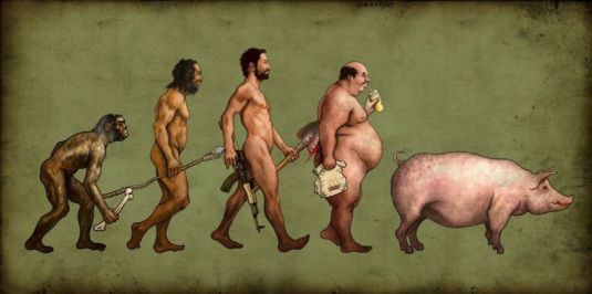 The evolutionary process