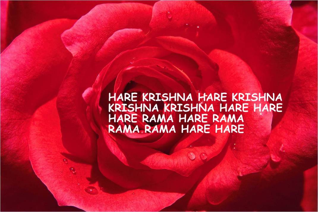 Chanting the Hare Krishna Maha Mantra The Hare Krishna Movement