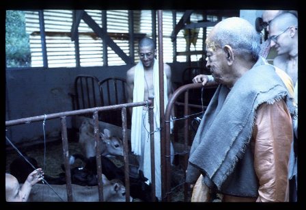 Srila Prabhupada's last visit to the Barn  at New Vrindavan 1976