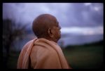 Srila Prabhupada on Morning&nbsp;Walk